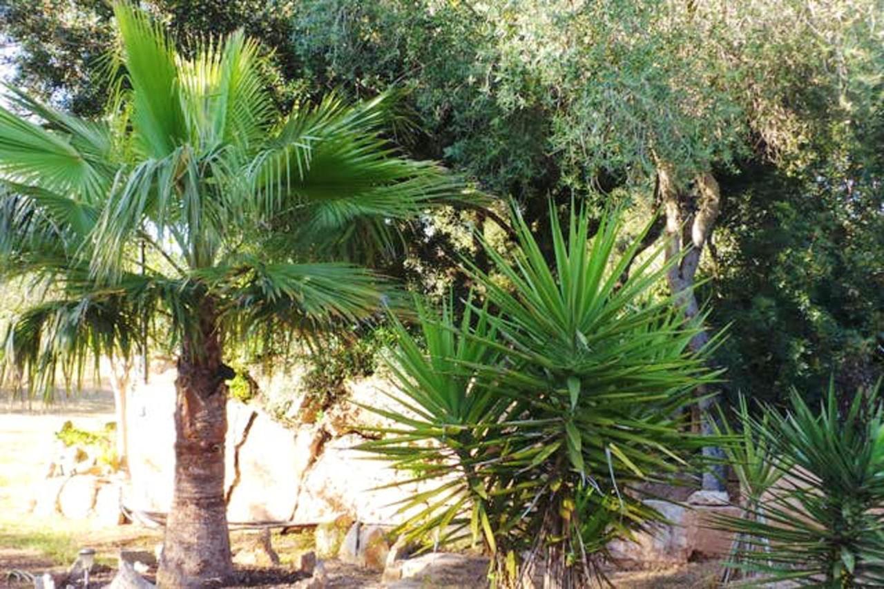 2 Bedrooms House With Private Pool Enclosed Garden And Wifi At Campos Ferienhaus *