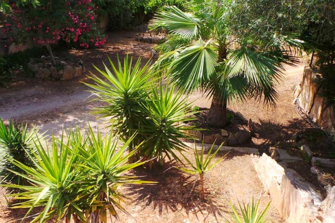 2 Bedrooms House With Private Pool Enclosed Garden And Wifi At Campos Campos (Mallorca)
